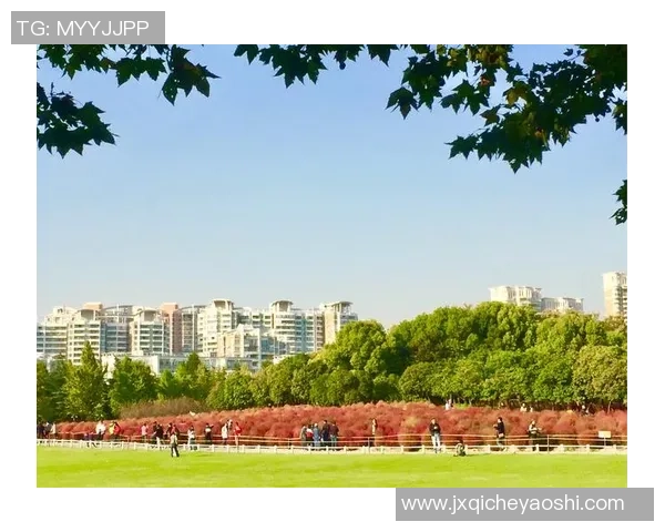 张昊：从平凡到卓越的奋斗历程与人生感悟分享